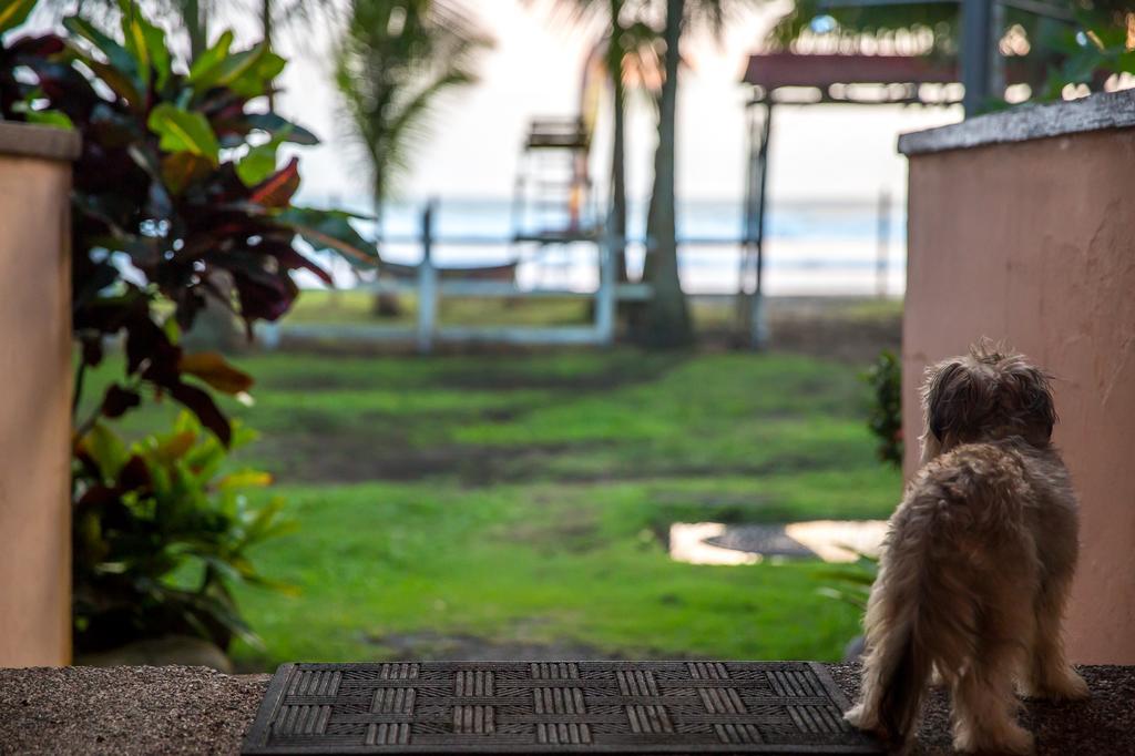 Encantada Ocean Cottages Esterillos Este Luaran gambar